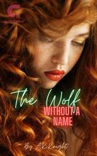 Novel The Wolf Without a Name by A.K.Knight