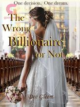 Novel The Wrong Billionaire, or Not by Dee Gleem