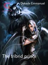 Novel The tribrid prince by Emmanuel Dekede