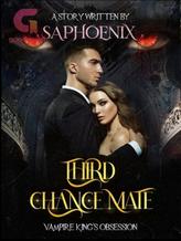 Novel Third Chance Mate by Saphoenix