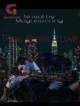 Novel Three weeks in love by Megacecung