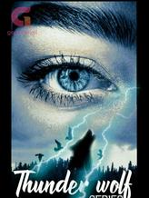 Novel Thunder wolf ( Book 1) by suzangill