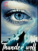 Novel Thunder wolf ( book 2) by suzangill