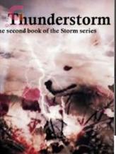 Novel Thunderstorm by Anine Giliomee