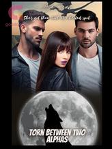 Novel Torn between two Alphas by Ava Jean