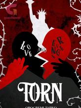 Novel Torn (love and revenge) by tanny-precious