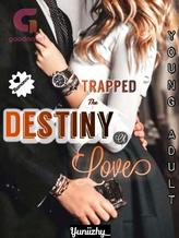 Novel Trapped The Destiny Of Love by Yuniizhy_