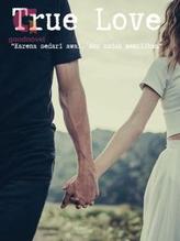 Novel True Love by putri kartikawati