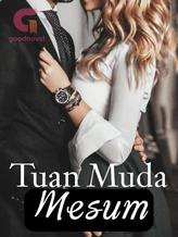 Novel Tuan Muda Mesum by Anieda Tannisha