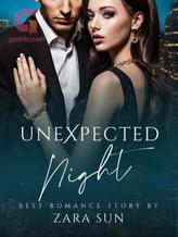 Novel Unexpected Night by Zara Sun