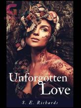 Novel Unforgotten Love – Entwined Lovers Series by S E Richards