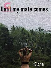 Novel Until my mate comes by Elcha