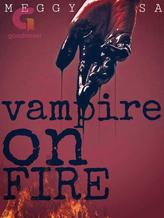 Novel Vampire on Fire by Meggysa Nine