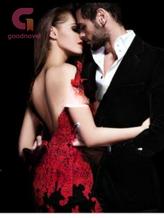 Novel Vampire’s Obsession by Gold sparrow