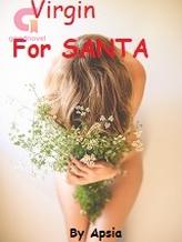 Novel Virgin for Santa by Apsia