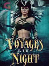 Novel Voyages In The Night by Sydney Mauritz