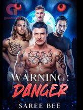 Novel Warning: Danger by Saree