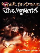 Novel Weak to Strong : The Hybrid by K.am