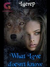 Novel What Love doesn’t know by Laerep