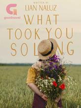 Novel What Took You So Long by Lian Naluz