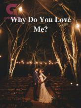 Novel Why Do You Love Me? by june