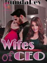 Novel Wifes of CEO by bundaRey