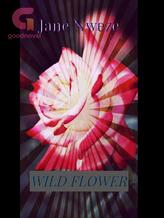 Novel Wild Flower by Jane Nweze