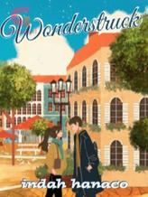 Novel Wonderstruck by Indah Hanaco