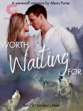 Novel Worth Waiting For by Alexis Porter