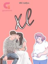 Novel XL by Siti Auliya