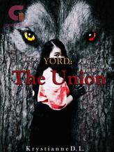 Novel YORD: The Union by Krystianne D. L.