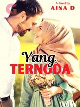 Novel Yang Ternoda by Aina D