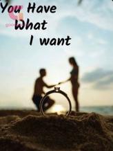 Novel You have what I want by Brandy Douglas