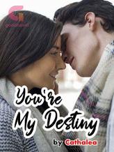 Novel You’re My Destiny by Cathalea