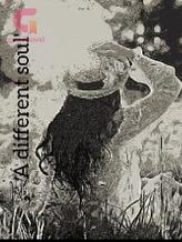 Novel a different soul by Fitri