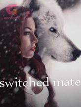 Novel switched mates by Dorry