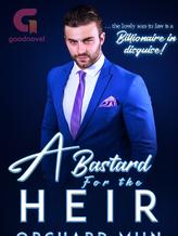 Novel A Bastard For The Heir by Orchard Minn