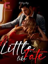 Novel A Little Like Fate by Quiny Kay