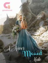 Novel A Never Meant Mate by Abeille