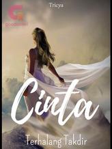 Novel Cinta Terhalang Takdir by Tricya