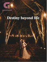 Novel Destiny beyond life by King devil