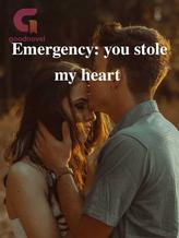 Novel Emergency: you stole my heart by K3n Dall