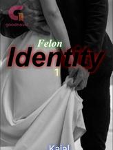 Novel Felon Identity 1 by Kajal