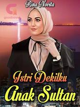 Novel Istri Dekilku Anak Sultan by Rina Novita