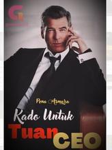 Novel Kado Untuk Tuan CEO by Pena Asmara