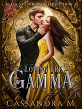 Novel LOVING THE GAMMA by Cassandra M