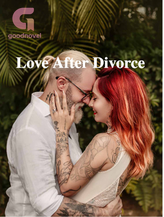 Novel Love After Divorce by Beauty