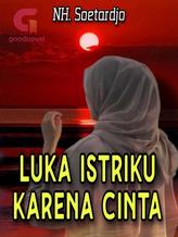 Luka Istriku karena Cinta