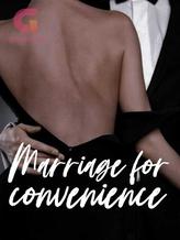 Novel Marriage For Convenience by Skie