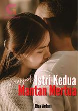 Novel Menjadi Istri Kedua Mantan Mertua by Rias Ardani